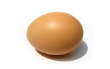 Isolated Egg